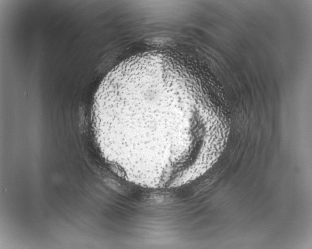 X0000072510420200608111659