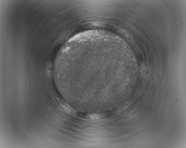 X0000072510423200608111659