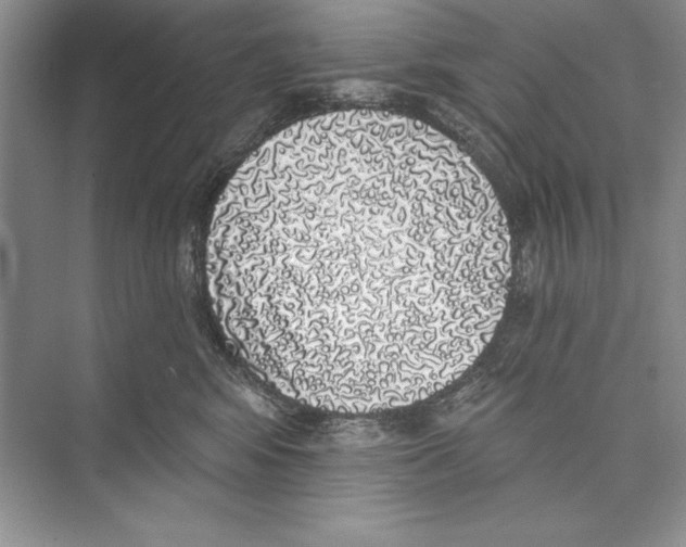 X0000072510424200608111659