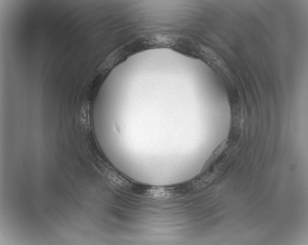 X0000072510425200608111659