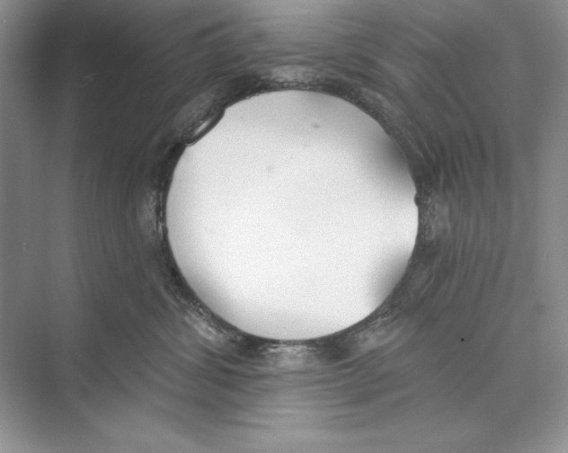X0000072510428200608111659