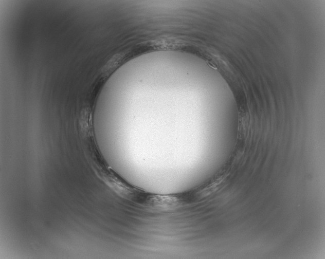 X0000072510429200608111659