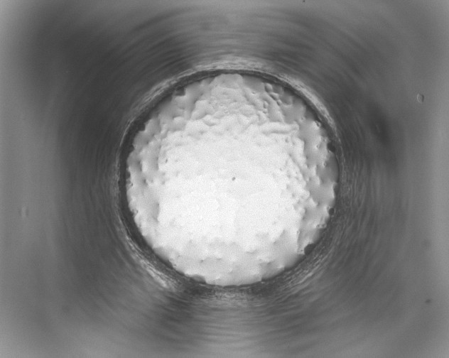 X0000072510437200608111658