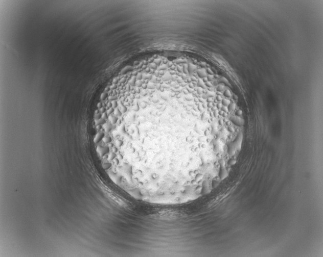 X0000072510441200608111658