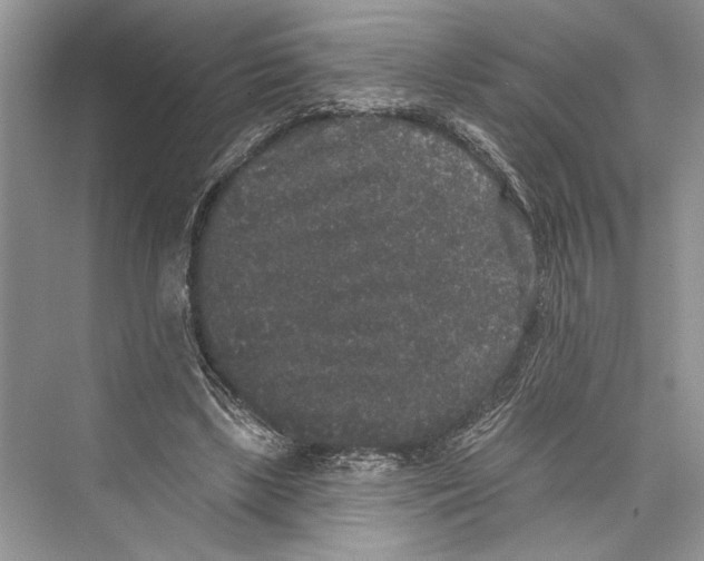 X0000072510443200608111658