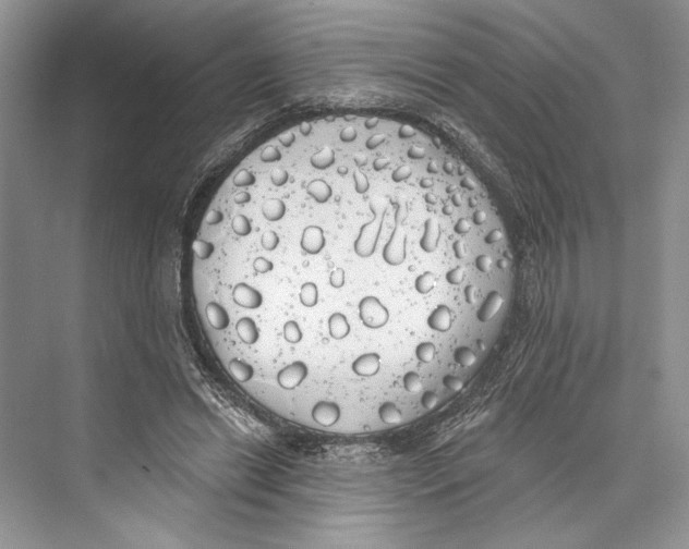 X0000072510446200608111658