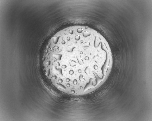 X0000072510447200608111658