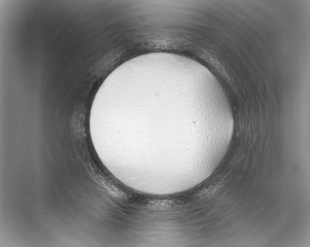 X0000072510450200608111658