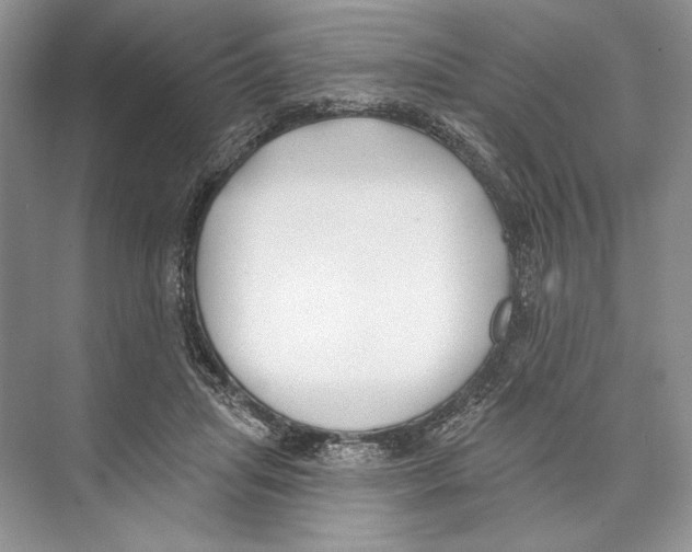 X0000072510455200608111658