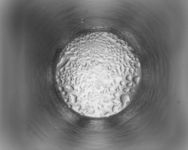 X0000072510457200608111658