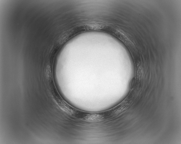 X0000072510459200608111658