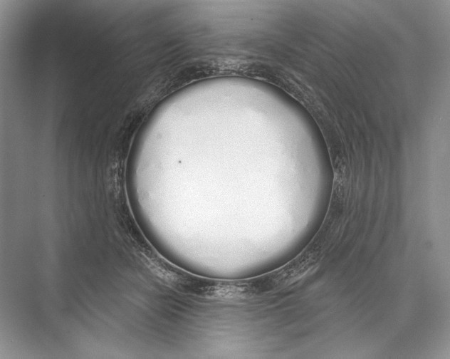 X0000072510462200608111658