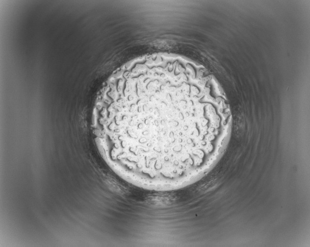 X0000072510466200608111658