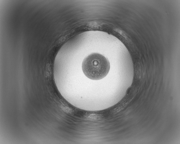 X0000072510467200608111659