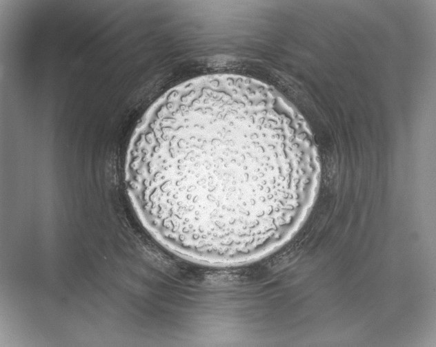 X0000072510470200608111659