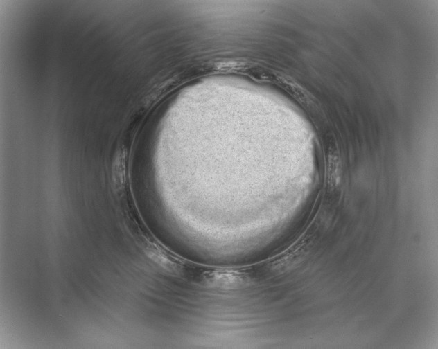 X0000072510475200608111659