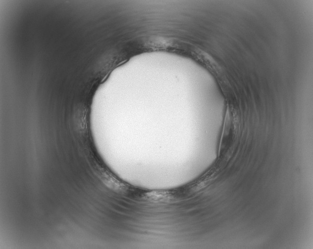 X0000072510477200608111659