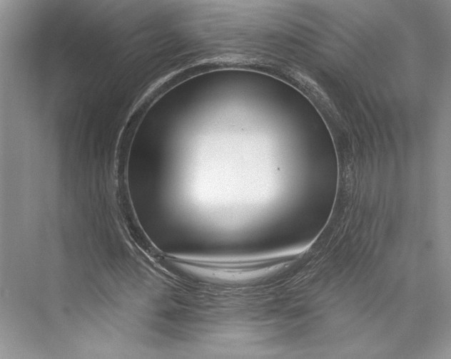 X0000072510484200608111658
