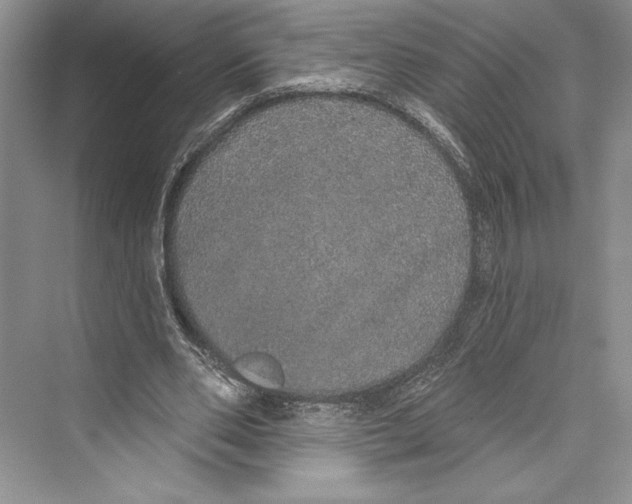 X0000072510486200608111658