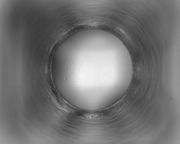 X0000072510500200608111658