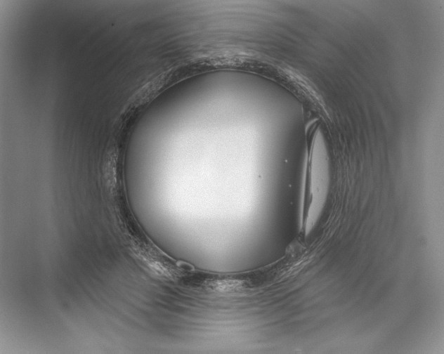 X0000072510501200608111658