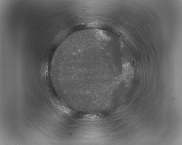 X0000072510502200608111658