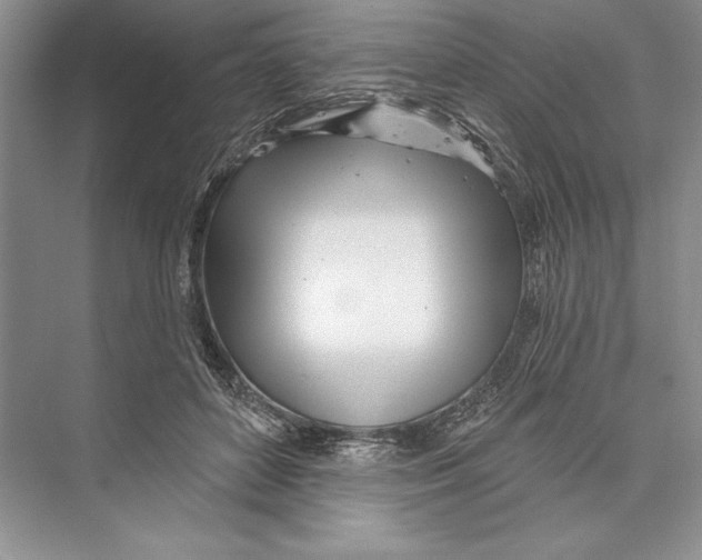 X0000072510504200608111658