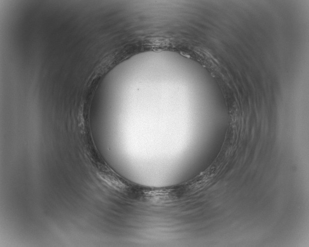 X0000072510516200608111657