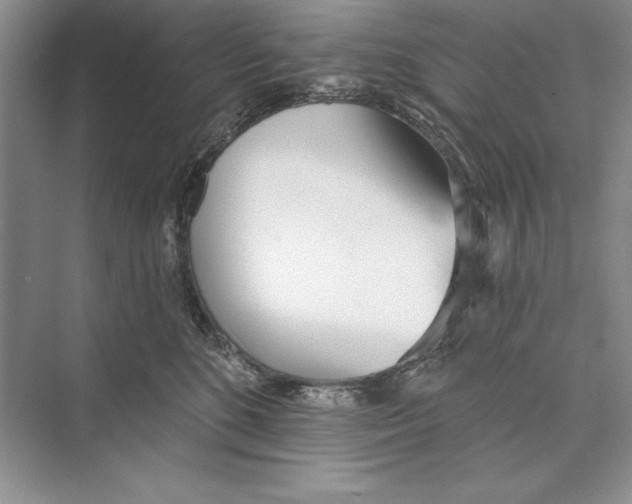 X0000072510520200608111657