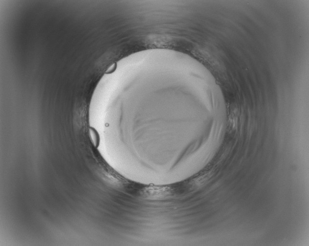 X0000072510526200608111657