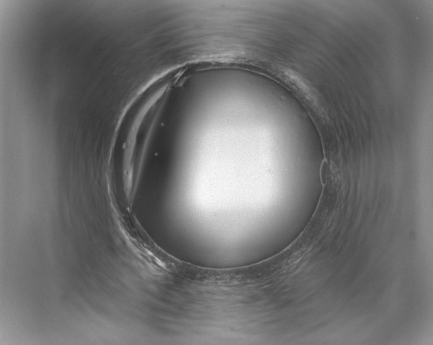 X0000072510532200608111656