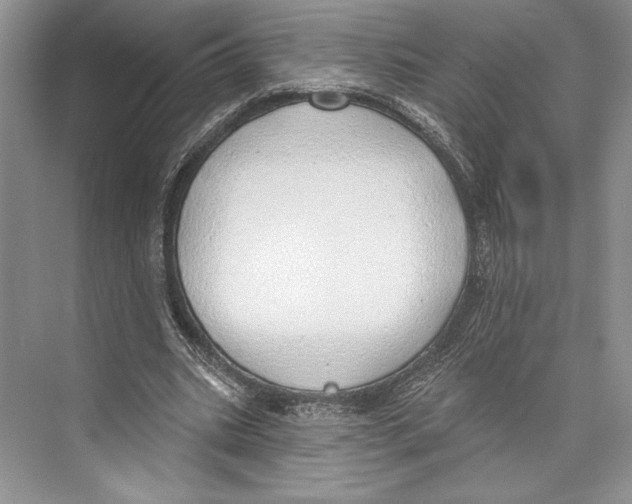 X0000072510535200608111656