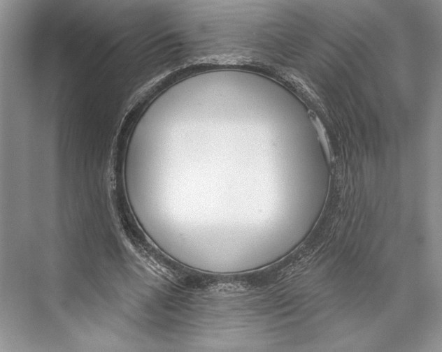 X0000072510536200608111656