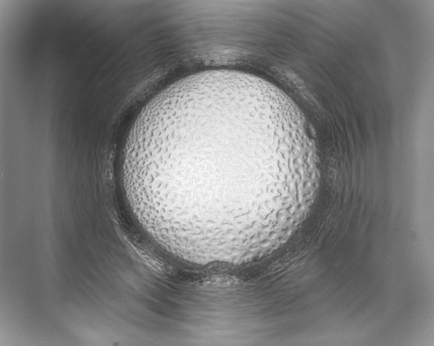 X0000072510543200608111657