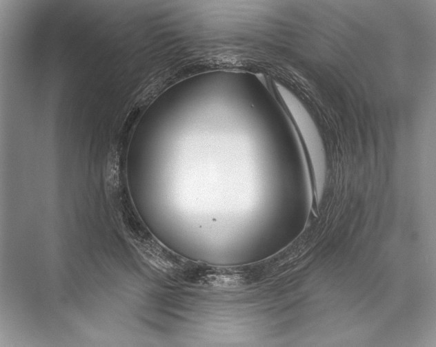 X0000072510552200608111657