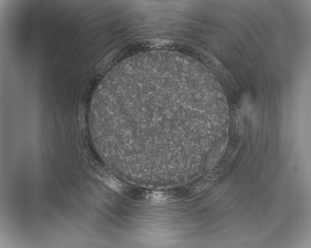 X0000072510565200608111657