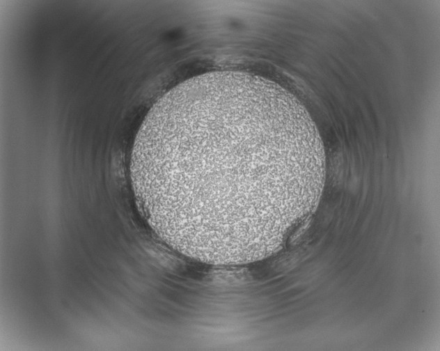 X0000072510571200608111657
