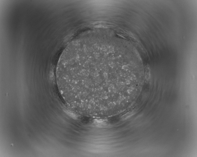 X0000072510573200608111657