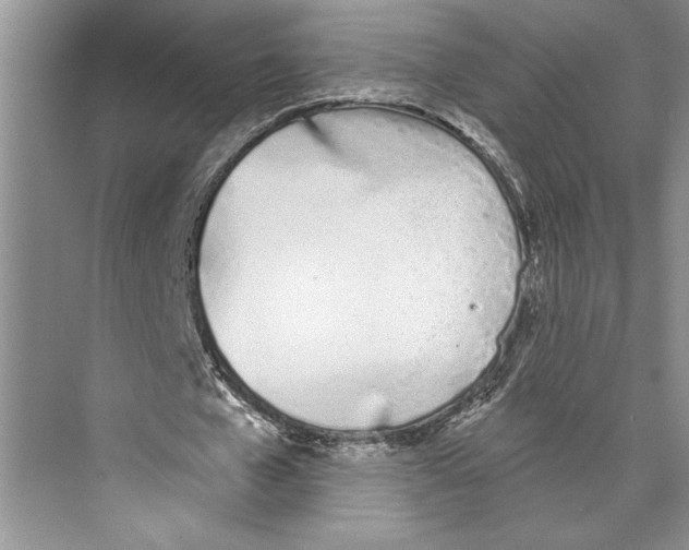 X0000072510577200608111656