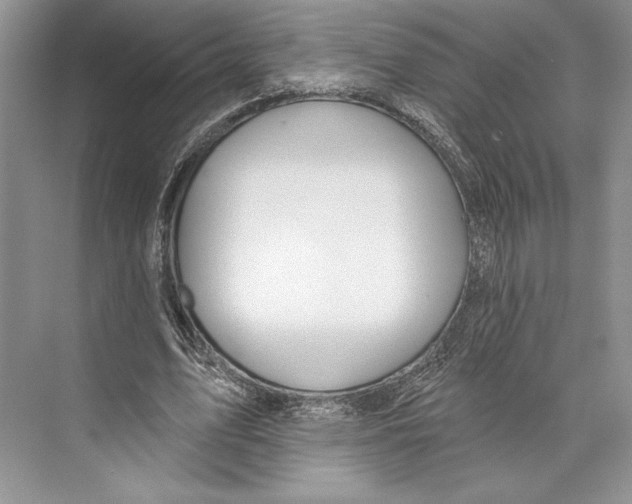 X0000072510583200608111656