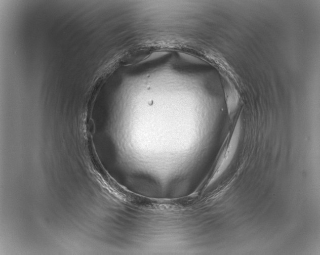 X0000072510585200608111656
