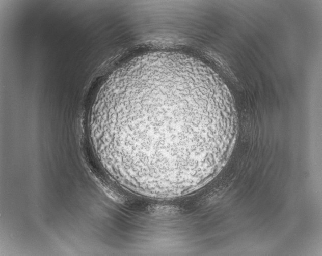 X0000072510590200608111656