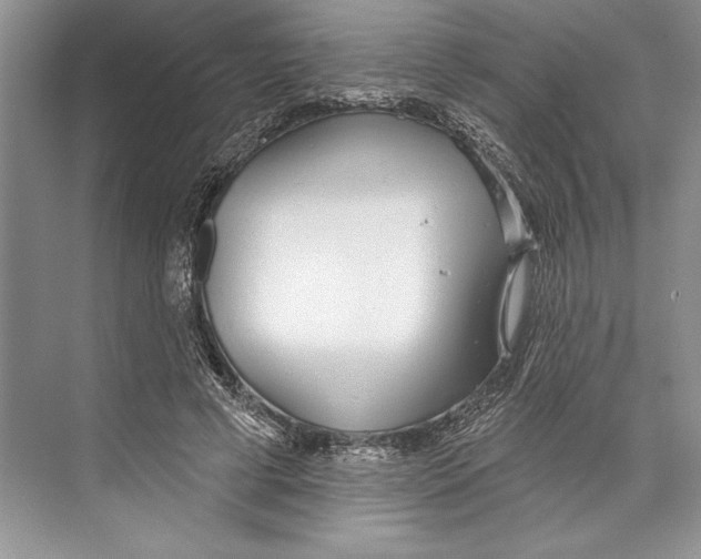 X0000072510593200608111656
