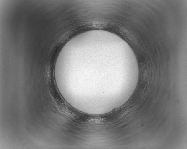 X0000072510595200608111656
