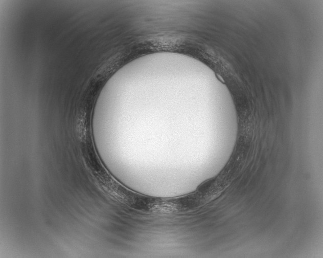 X0000072510599200608111656