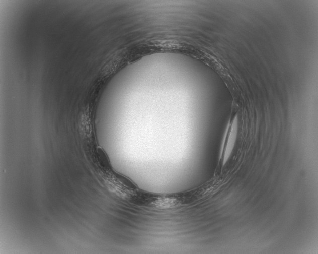 X0000072510609200608111656