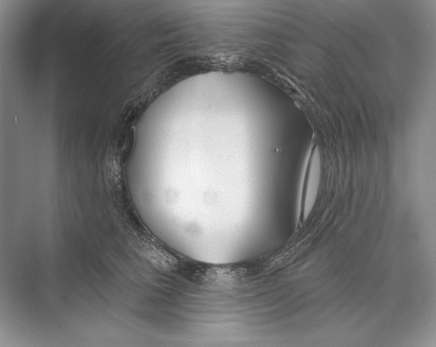 X0000072510613200608111656