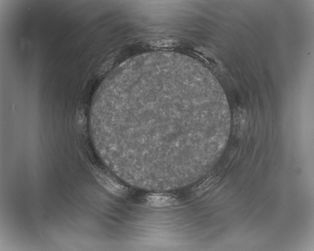 X0000072510614200608111656