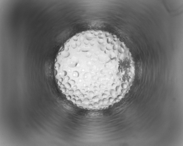 X0000072510619200608111656