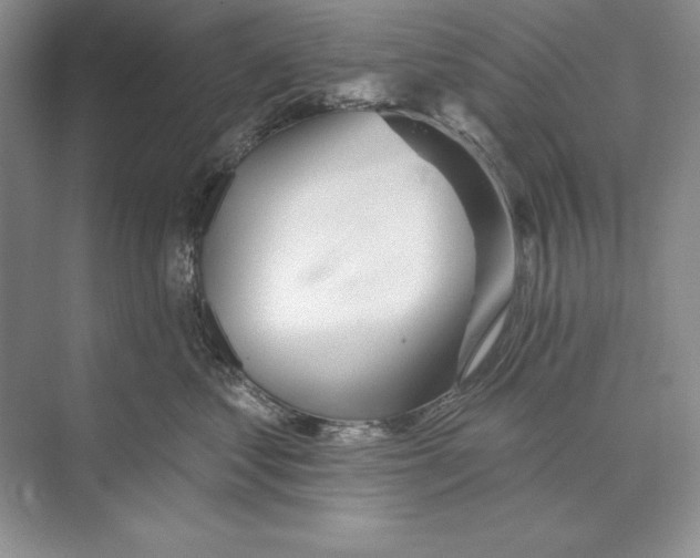 X0000072510621200608111656